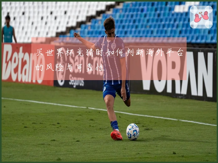 买世界杯竞猜时如何判断海外平台的风险与可靠性