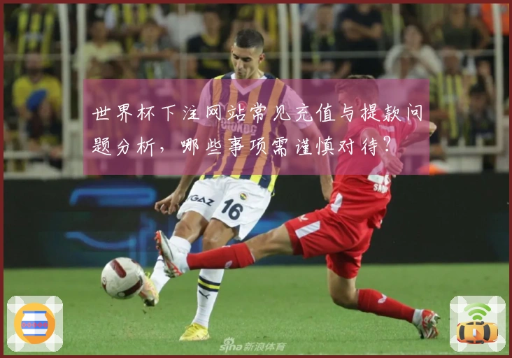 世界杯下注网站常见充值与提款问题分析，哪些事项需谨慎对待？
