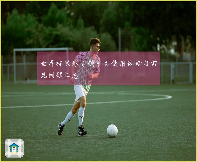 世界杯买球专题平台使用体验与常见问题汇总