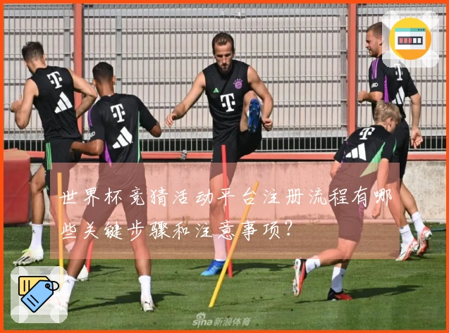 世界杯竞猜活动平台注册流程有哪些关键步骤和注意事项?