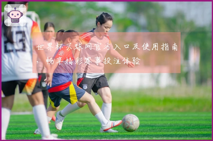 世界杯买球网官方入口及使用指南，畅享精彩赛事投注体验