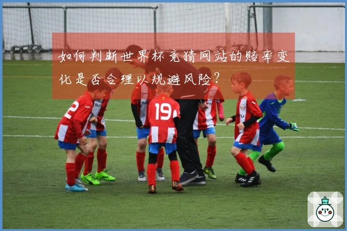 如何判断世界杯竞猜网站的赔率变化是否合理以规避风险？