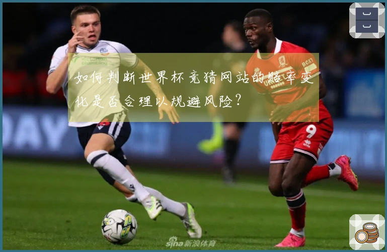 如何判断世界杯竞猜网站的赔率变化是否合理以规避风险？