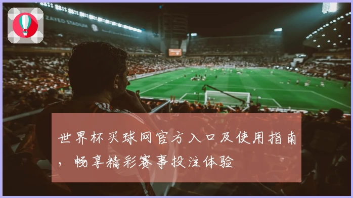 世界杯买球网官方入口及使用指南,畅享精彩赛事投注体验