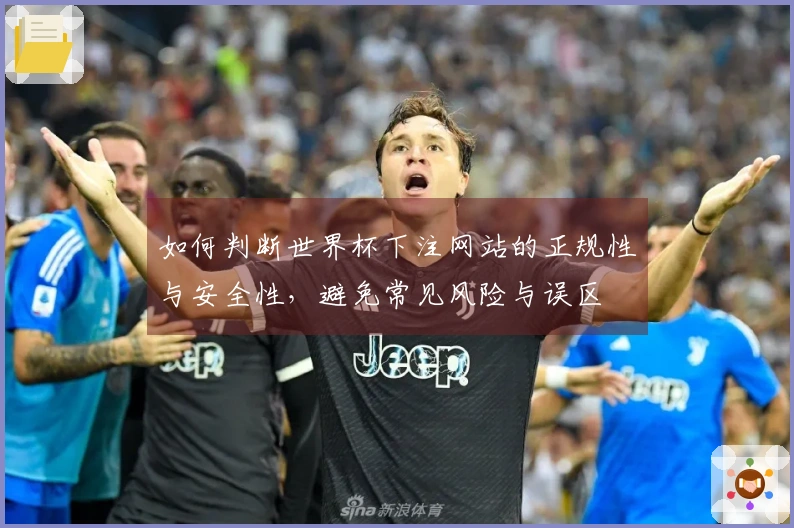 如何判断世界杯下注网站的正规性与安全性，避免常见风险与误区