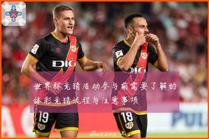 世界杯竞猜活动参与前需要了解的体彩竞猜流程与注意事项