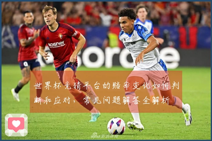 世界杯竞猜平台的赔率变化如何判断和应对，常见问题解答全解析