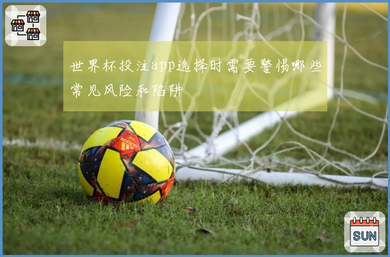 世界杯投注app选择时需要警惕哪些常见风险和陷阱