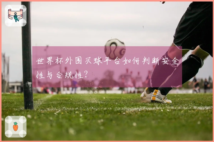 世界杯外围买球平台如何判断安全性与合规性？
