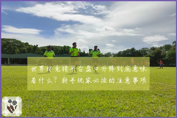 世界杯竞猜平台盘口升降到底意味着什么？新手玩家必读的注意事项和解读技巧