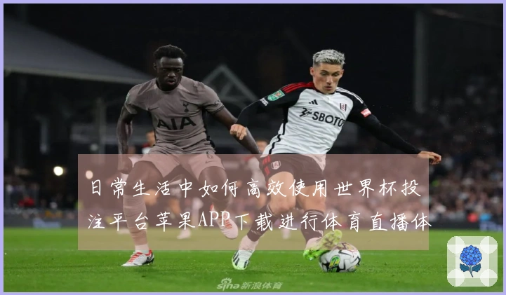 日常生活中如何高效使用世界杯投注平台苹果APP下载进行体育直播体验
