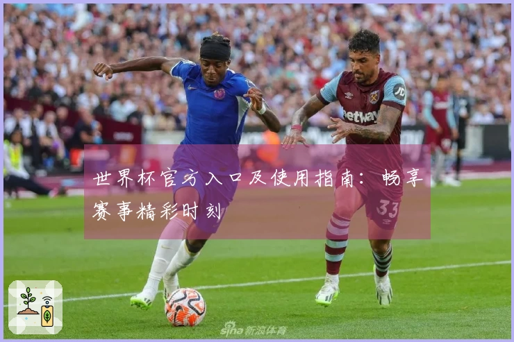 世界杯官方入口及使用指南：畅享赛事精彩时刻