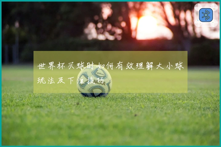 世界杯买球时如何有效理解大小球玩法及下注技巧