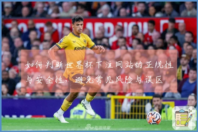 如何判断世界杯下注网站的正规性与安全性,避免常见风险与误区