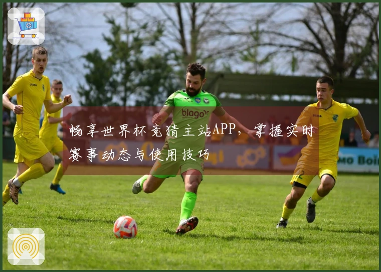 畅享世界杯竞猜主站APP，掌握实时赛事动态与使用技巧