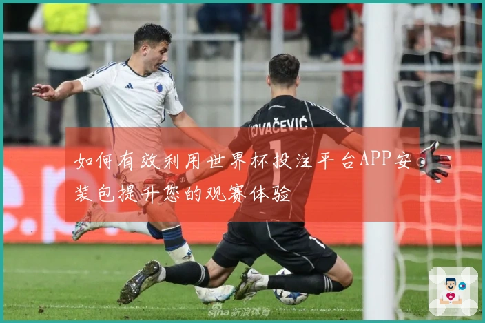 如何有效利用世界杯投注平台APP安装包提升您的观赛体验