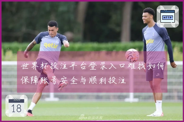 世界杯投注平台登录入口难找如何保障账号安全与顺利投注