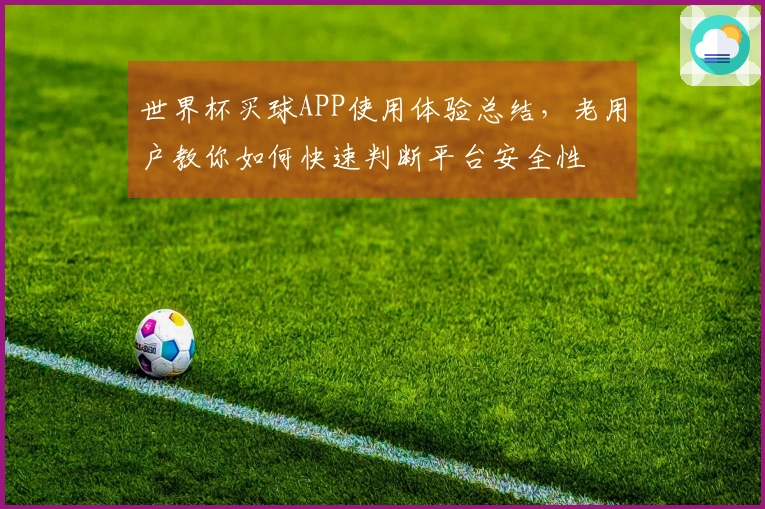 世界杯买球APP使用体验总结，老用户教你如何快速判断平台安全性